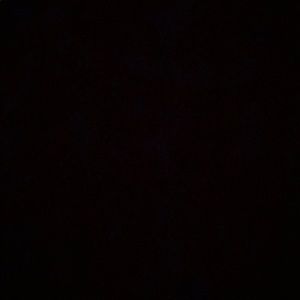 Meet your Posher, Lilly